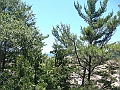 Western Michigan [2010] 032